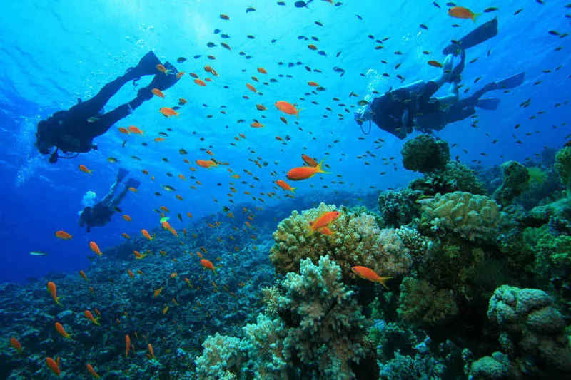 Scufundări (scuba diving)